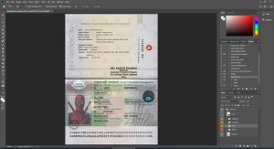 Bangladesh Passport - version 1