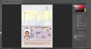 Bosnia and Herzegovina Passport