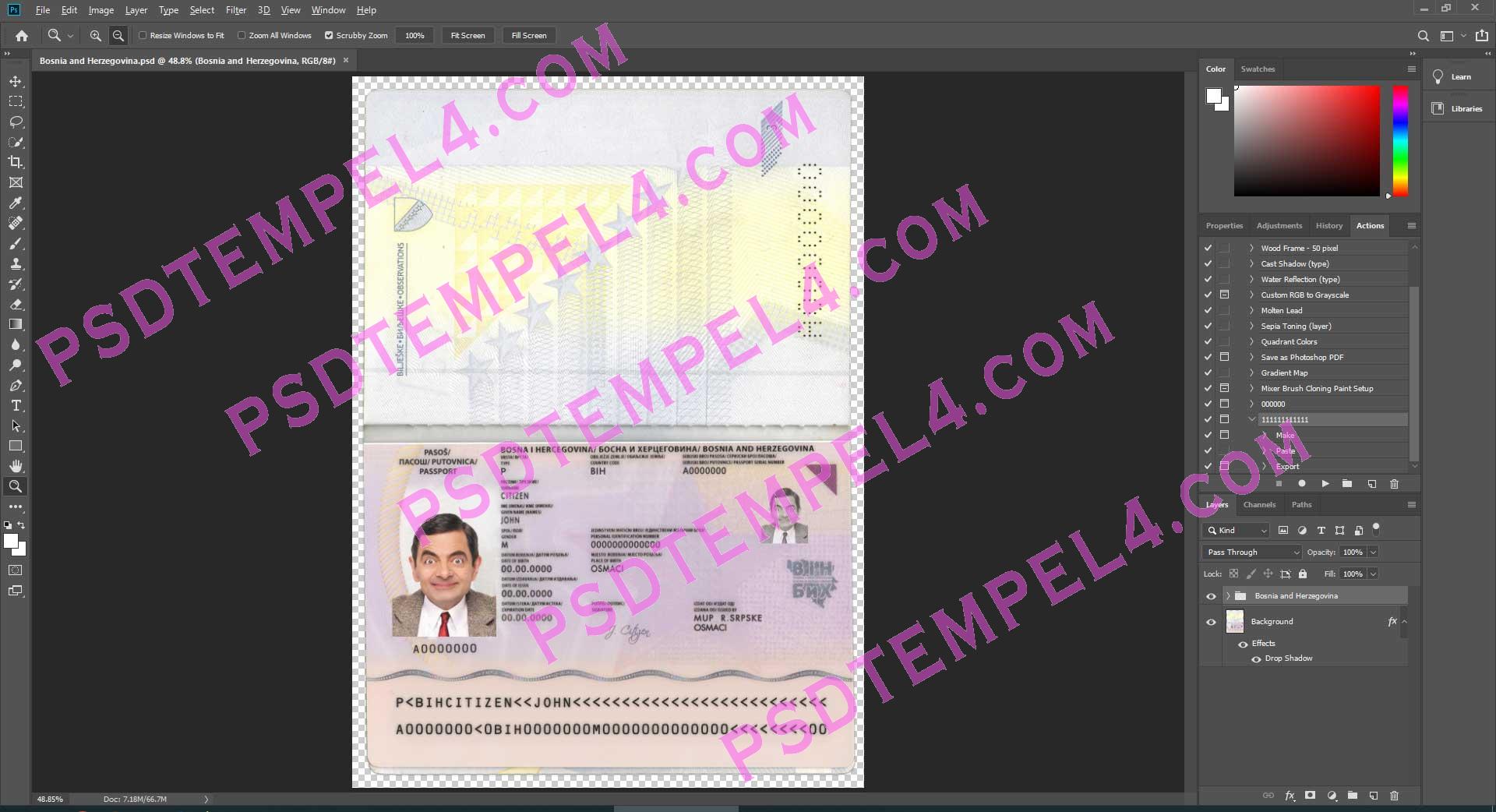 Bosnia and Herzegovina Passport