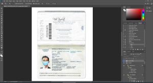 Brasil brazil Passport V1