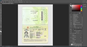 Brunei Passport
