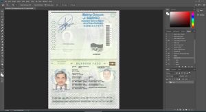 Burkina Faso Passport - 3 version