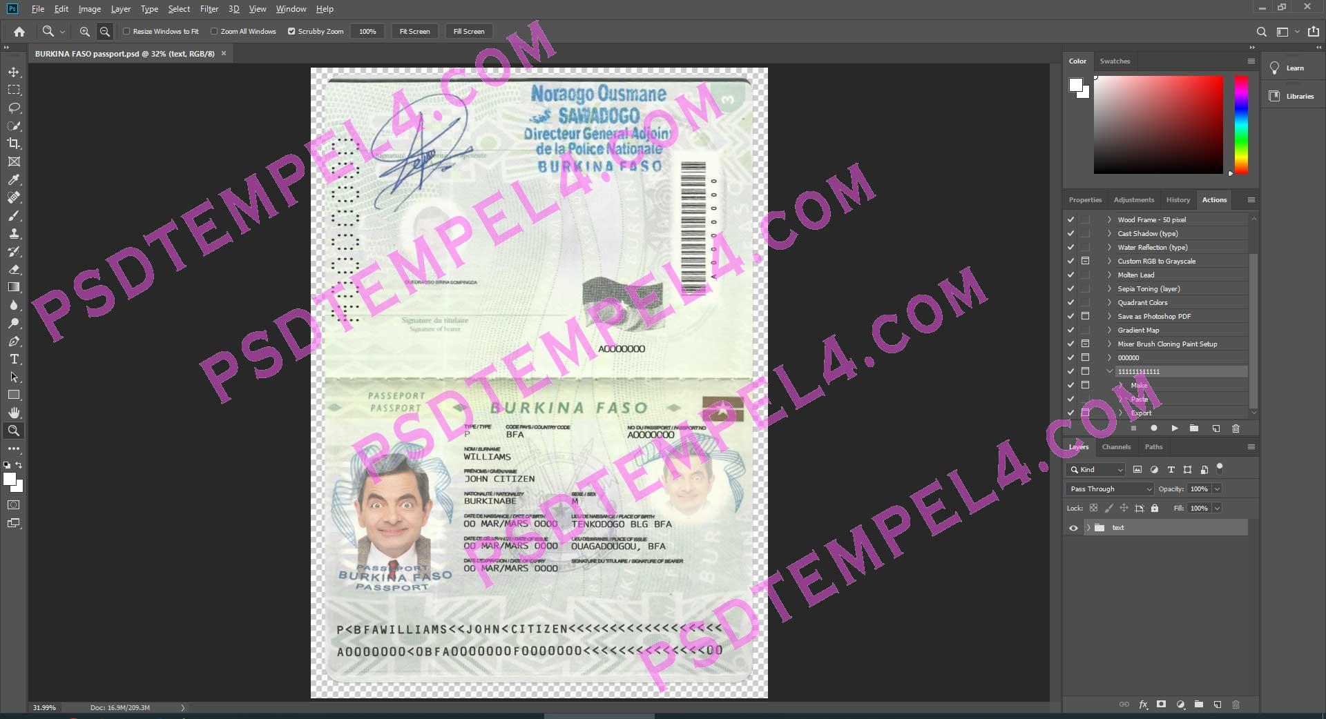 Burkina Faso Passport psd template fake fully editable high quality