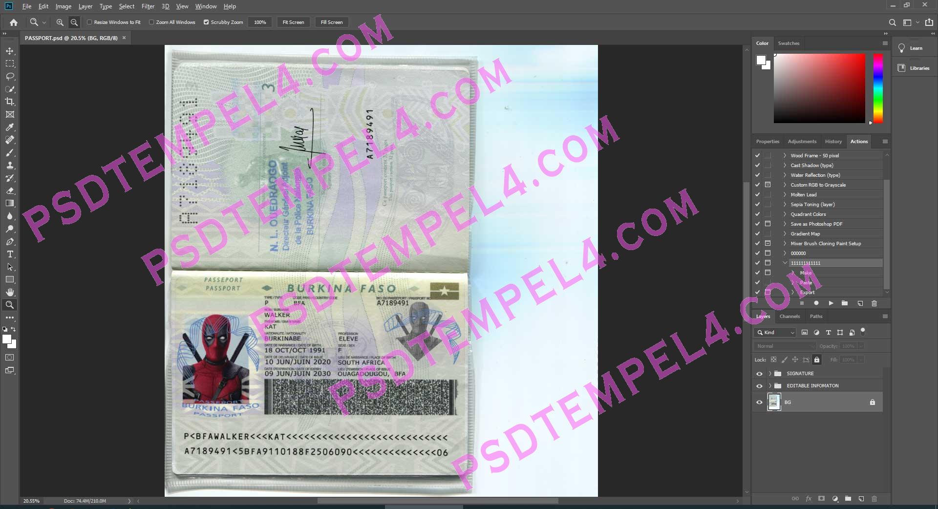 Burkina Faso Passport psd template fake fully editable high quality