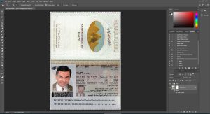 Egypt Passport
