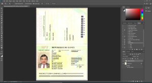 Guinea Passport