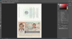 Mexico Passport - 2 version