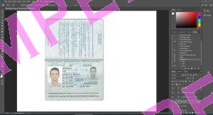 Moldova Passport - 2 version