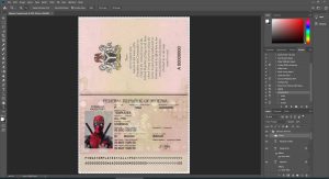 Nigeria Passport