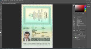 Pakistan Passport
