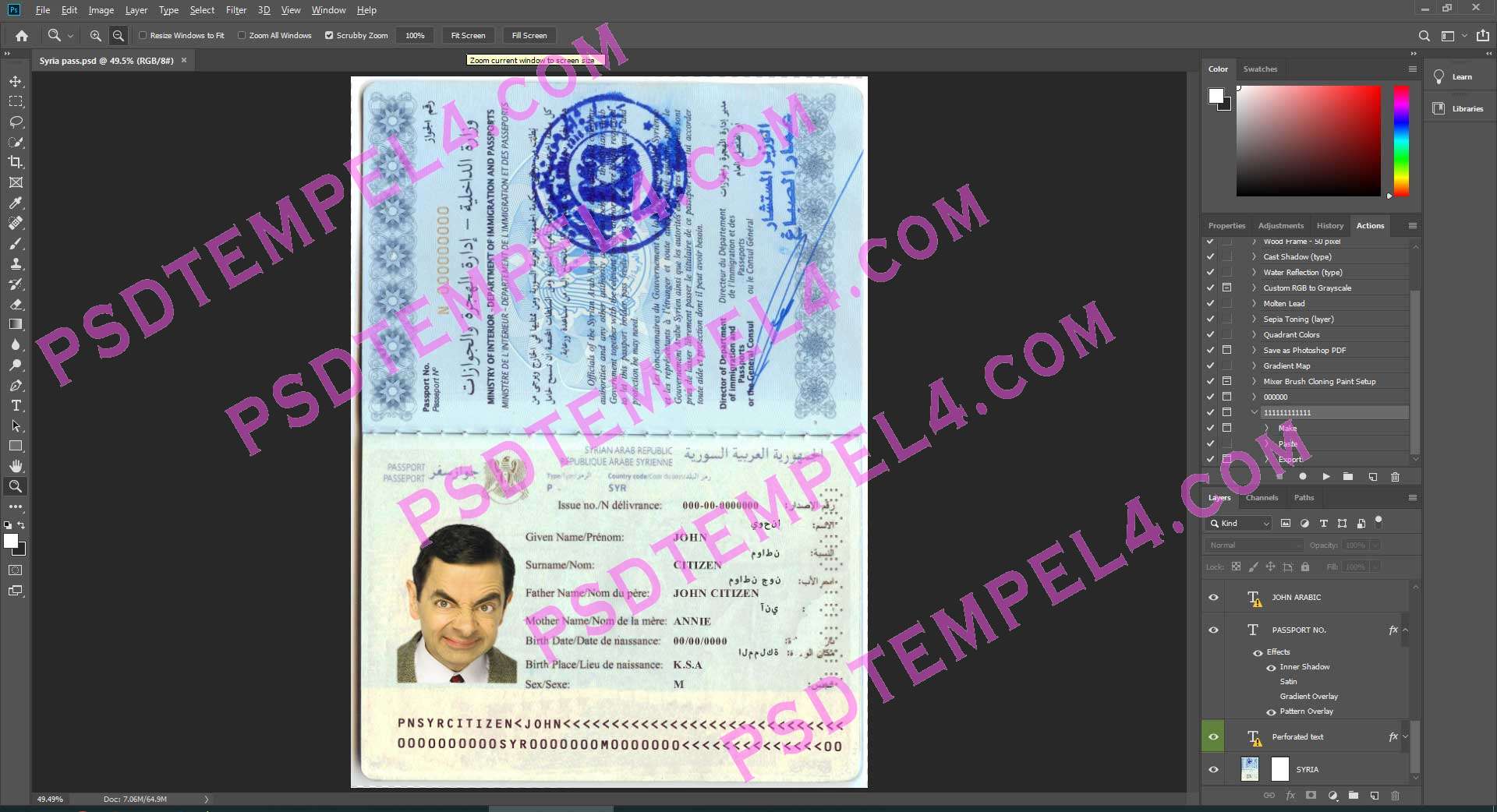 Syria Passport