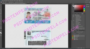 Argentina Driver License