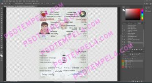 Bahrain Driver License