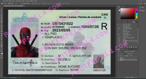 Canada New Brunswick Driver License