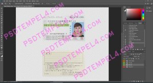 Japan Driver License