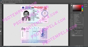 Lebanon Driver License