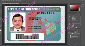 Singapore Driver License