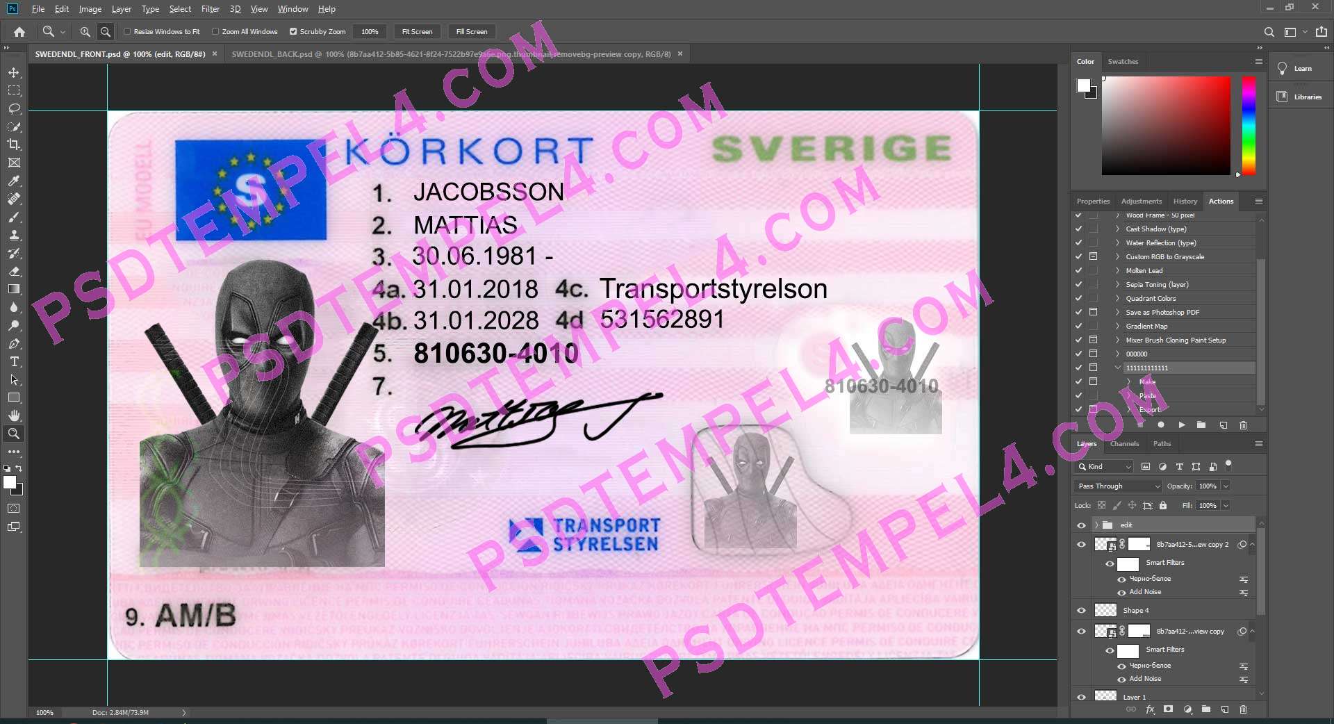 Sweden Driver License