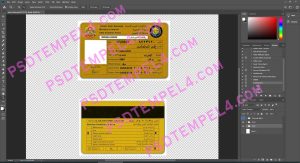 UAE United Arab Emirates Driver License