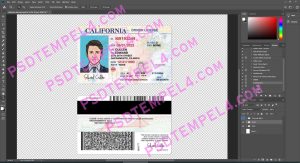 USA California Driver License