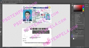 USA Connecticut Driver License