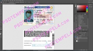 USA Delaware Driver License 2 version