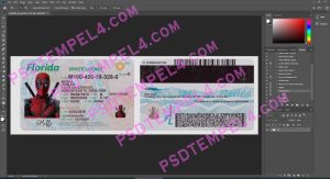 USA Florida Driver License 3 version