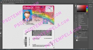 USA Hawaii Driver License