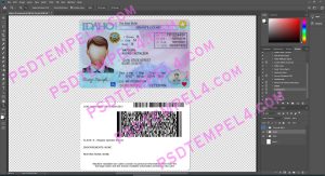 USA Idaho Driver License