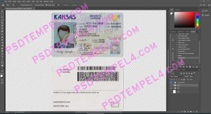 USA Kansas Driver License