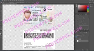 USA Kentucky Driver License