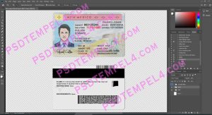USA New Mexico Driver License 2 version