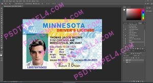 USA Minnesota Driver License