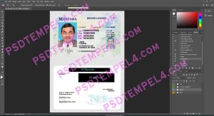 USA Montana Driver License