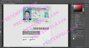 USA Nebraska Driver License