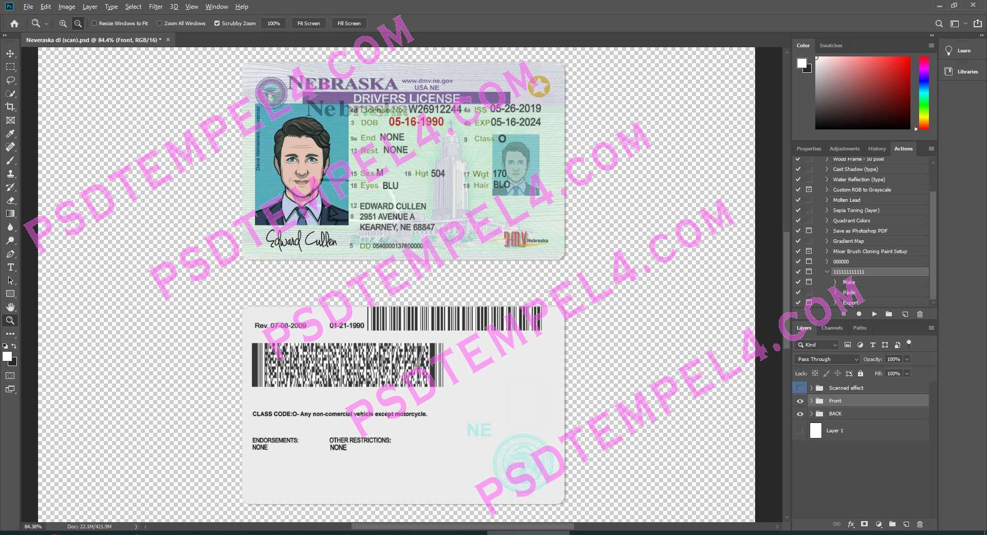 USA Nebraska Driver License