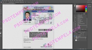 USA Nevada Driver License