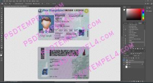 USA New Hampshire Driver License