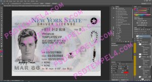 USA New York Driver License 4 version