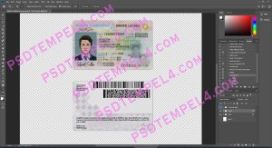 USA North Carolina Driver License