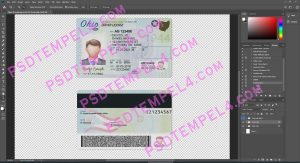 USA Ohio Driver License