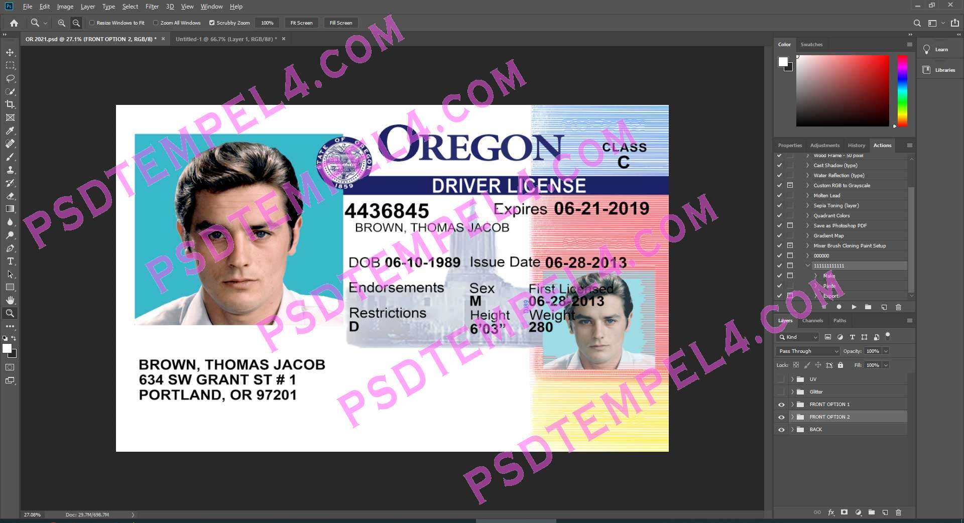 USA Oregon Driver License