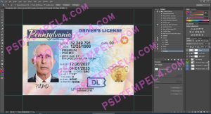 USA Pennsylvania Driver License 4 version