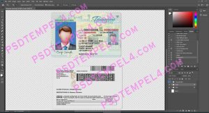 USA Tennessee Driver License