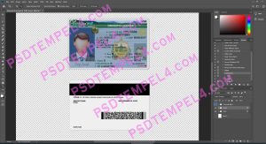 USA Vermont Driver License