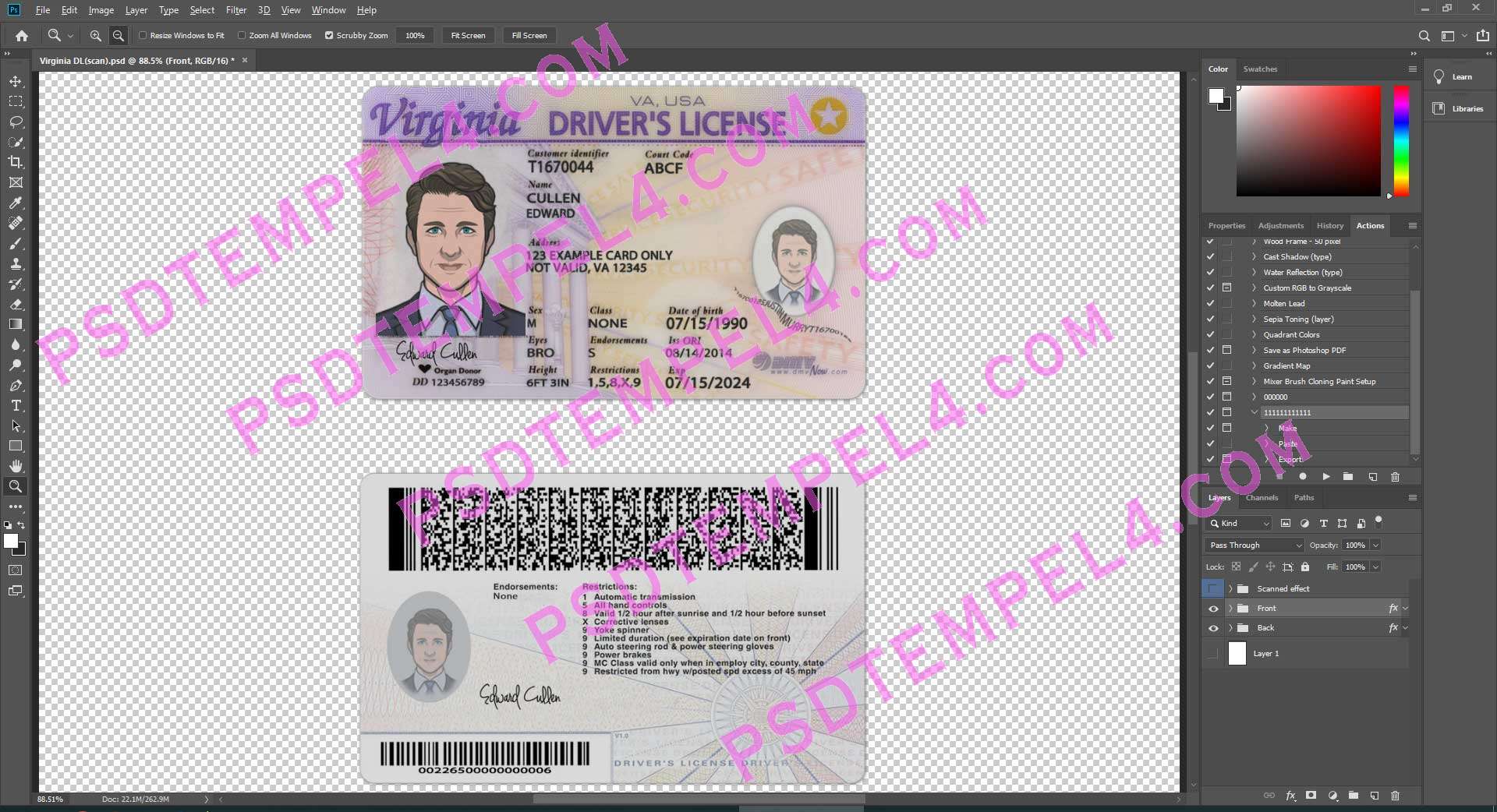 USA Virginia Driver License