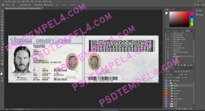 USA Virginia Driver License 2 version