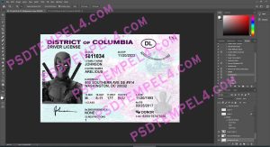 USA Washington DC Driver License