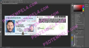 USA Washington Driver License 3 version