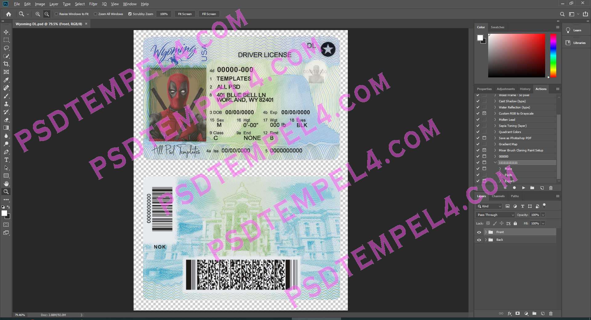 USA Wyoming Driver License